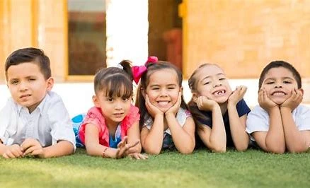 Belajar Menanam Sayur